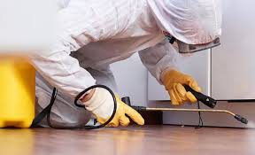 Best Real Estate Pest Inspections  in Mineville, NY